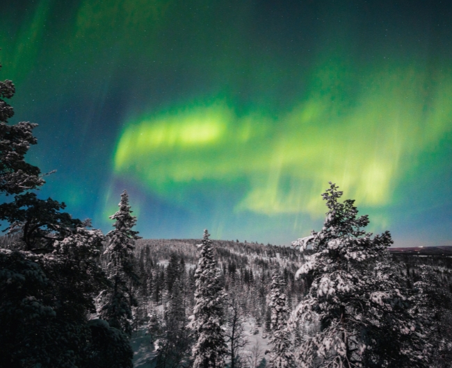 Navidad en Laponia Finlandesa | 19 de Diciembre