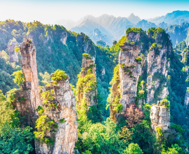 Tendencias de China | Salida: 14 de Junio de 2026