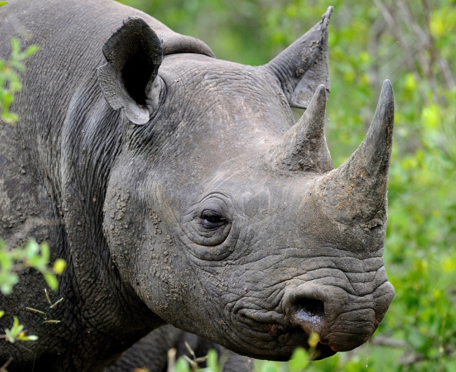 Safari Total en Kenia & Tanzania | 5 de Octubre 2026