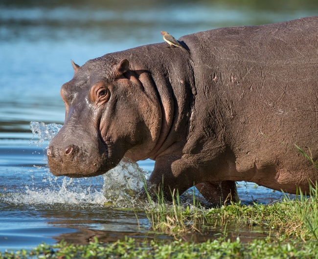 Sud�frica Majestuosa | Salida: 05 de Septiembre 2026