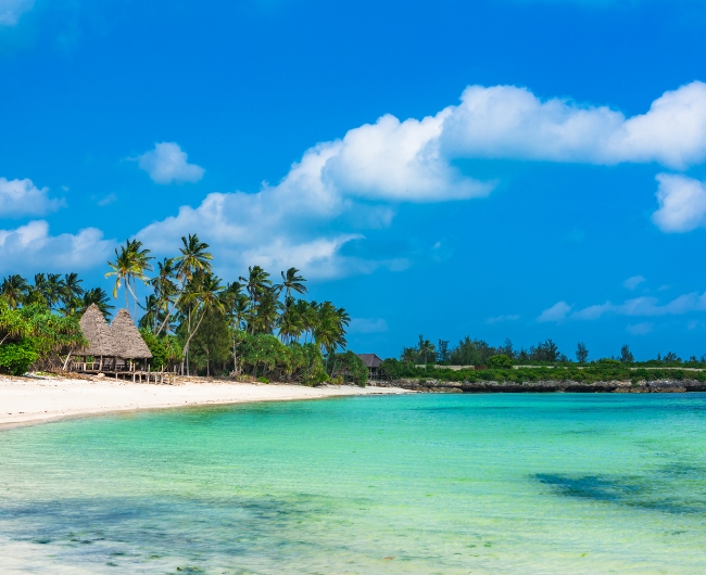 �frica | Salida: 12 de Octubre 2026